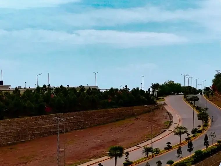 Winding road through the society